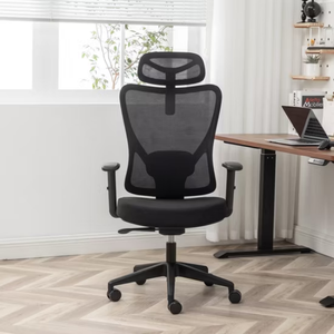 Ergonomic Chairs