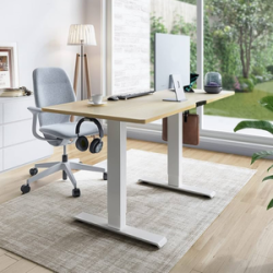 Economic Office Desk