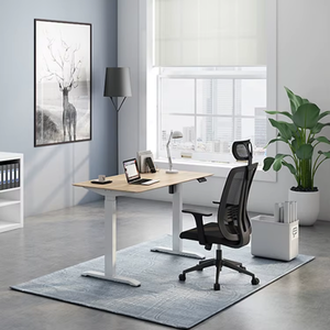 Height Adjustable Desk